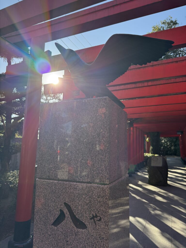 口コミ、詳細になりますのアイキャッチ画像