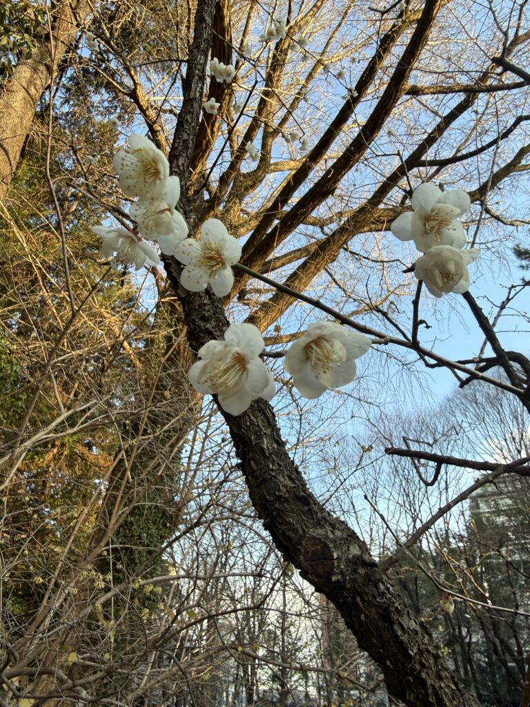 復縁がしたい方へのアイキャッチ画像